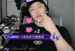 网红黑料是什么意思,网络舆论背后的真相与反思